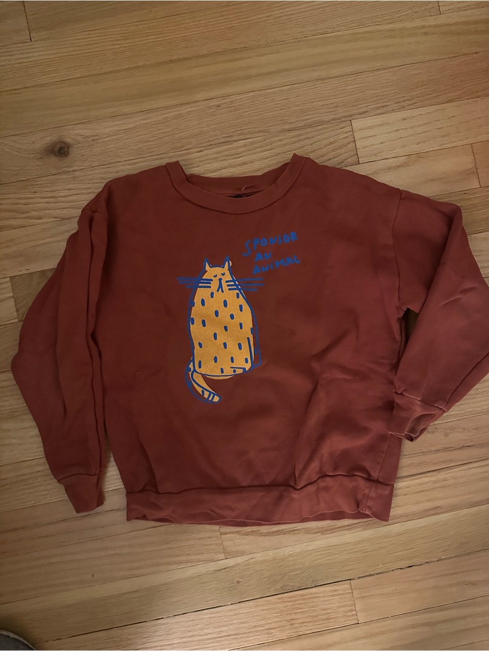 Kids Orange Crewneck Sweater with Cat
